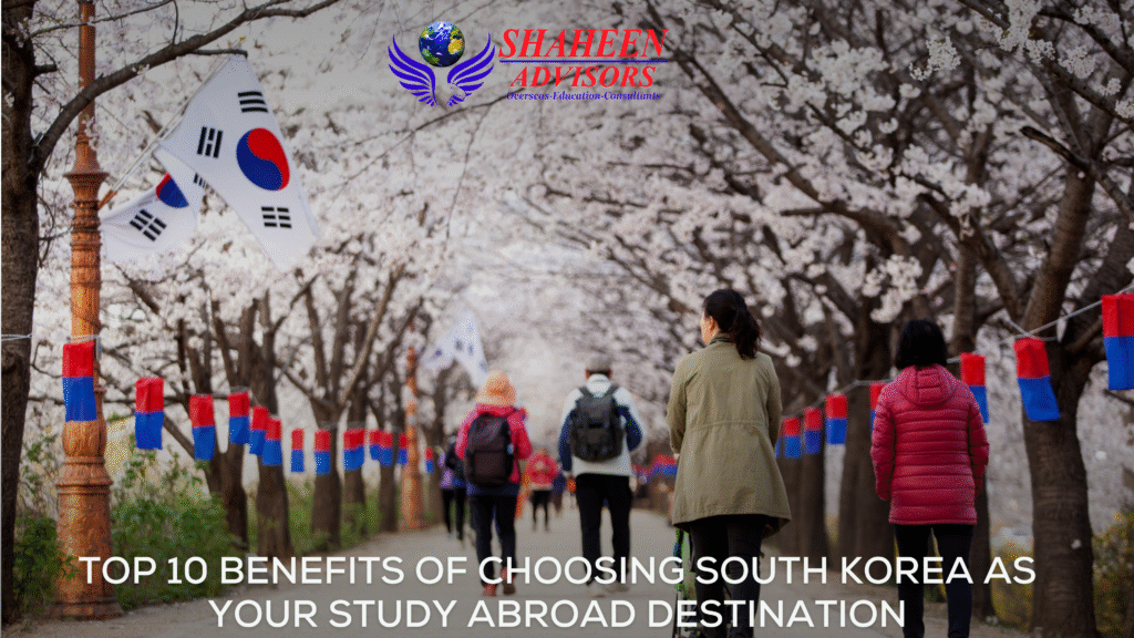 Blogs - study abroad blog - Shaheen Advisor - 2025