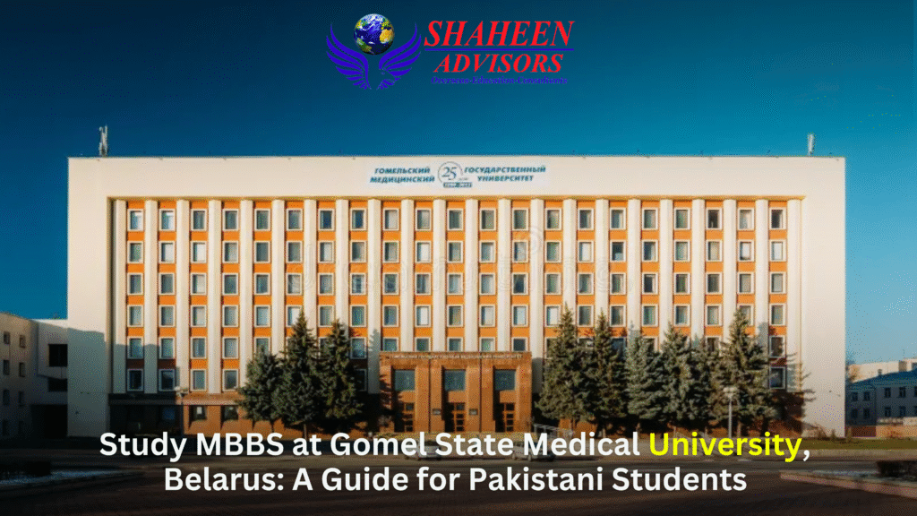Blogs - study abroad blog - Shaheen Advisor - 2025